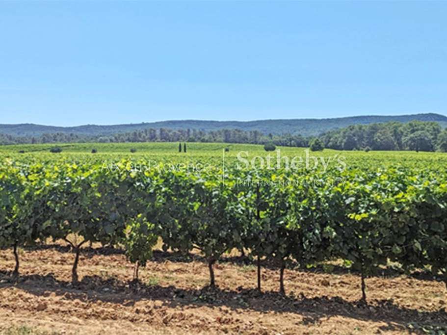Vineyard Aix-en-Provence