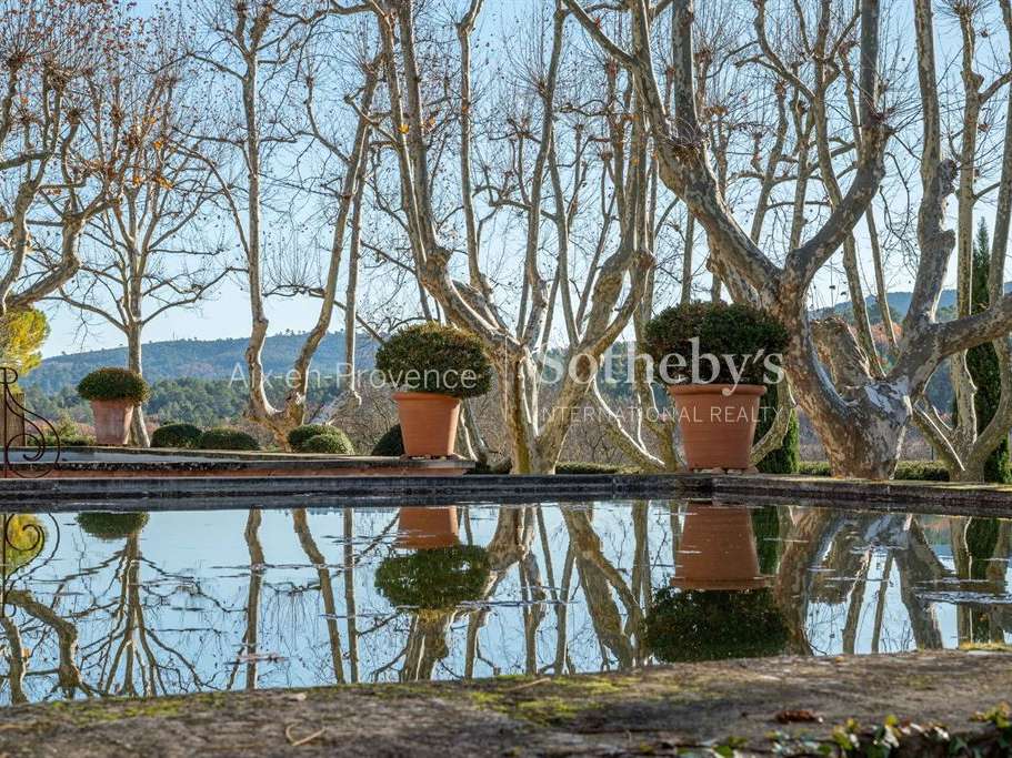 Vineyard Aix-en-Provence