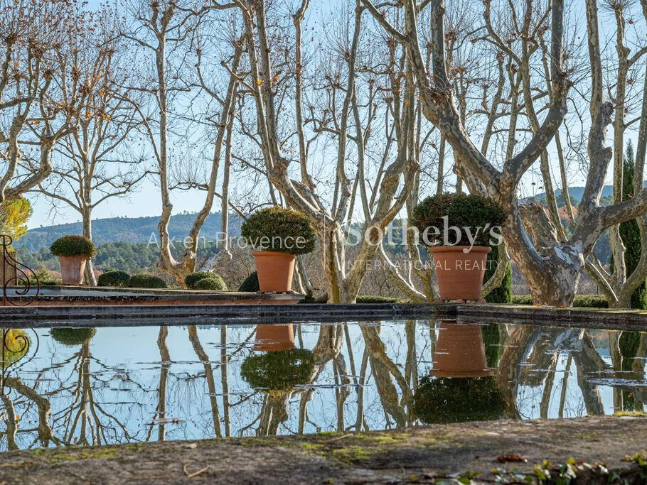 Vineyard Aix-en-Provence