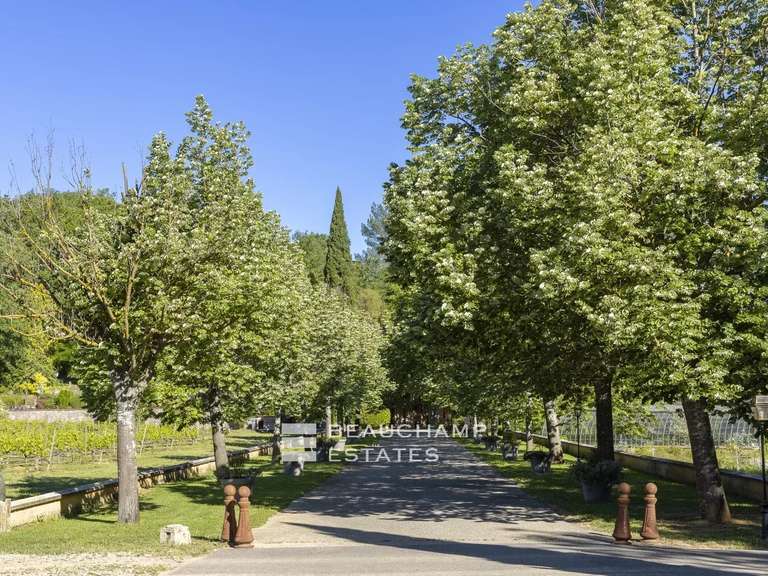 Domaine viticole Aix-en-Provence - 11 chambres - 750m²