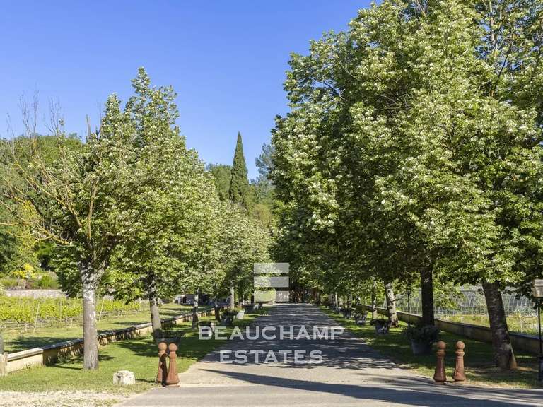 Domaine viticole Aix-en-Provence - 11 chambres - 750m²