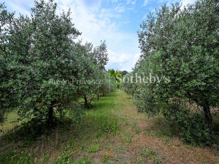 Maison Aix-en-Provence - 8 chambres - 720m²