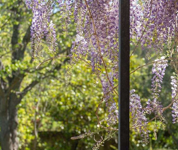 House Aix-en-Provence - 5 bedrooms - 300m²