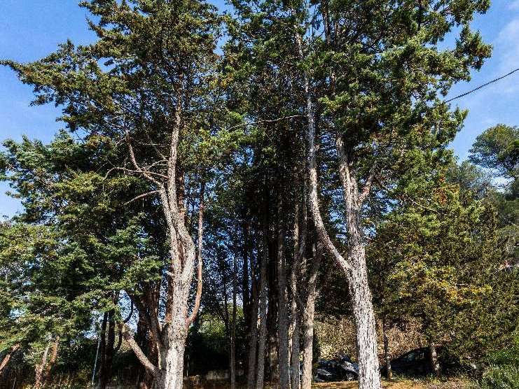 House Aix-en-Provence - 3 bedrooms