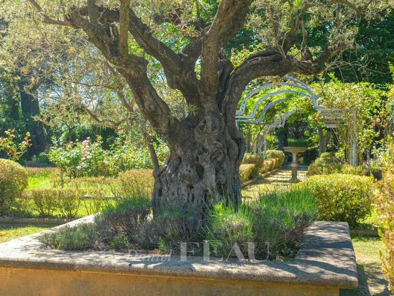 Maison Aix-en-Provence - 5 chambres - 260m²