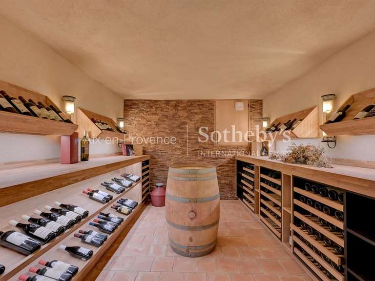 House Aix-en-Provence - 5 bedrooms - 430m²