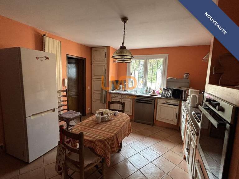 Maison Aix-en-Provence - 5 chambres - 240m²