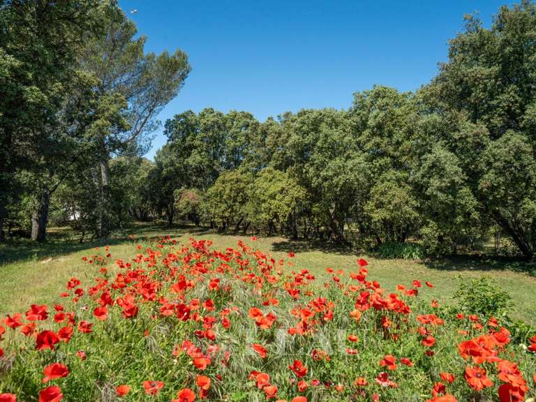 House Aix-en-Provence - 5 bedrooms - 205m²