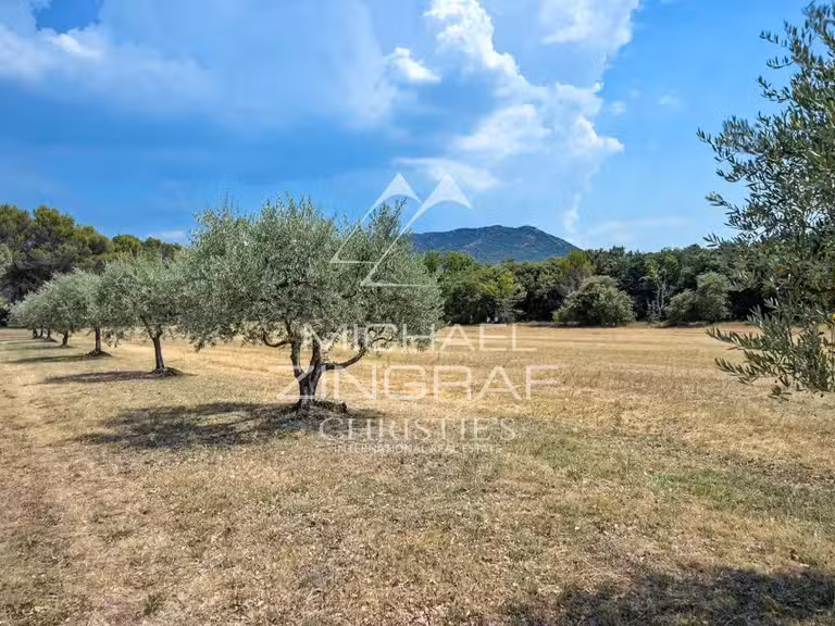 Maison Aix-en-Provence - 6 chambres - 260m²