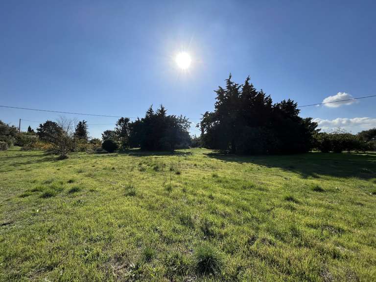 Maison Aix-en-Provence - 5 chambres - 135m²