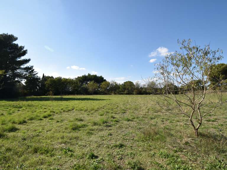 Maison Aix-en-Provence - 5 chambres - 135m²