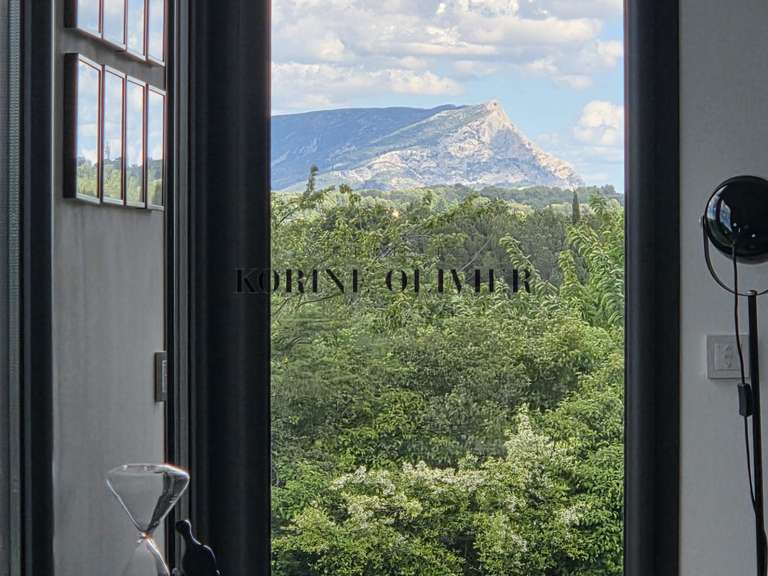 Maison Aix-en-Provence - 4 chambres - 240m²