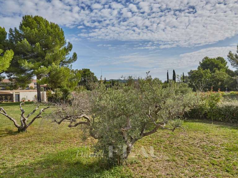 Maison Aix-en-Provence - 5 chambres - 626m²