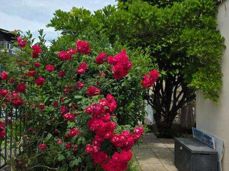 House Aix-les-Bains - 5 bedrooms
