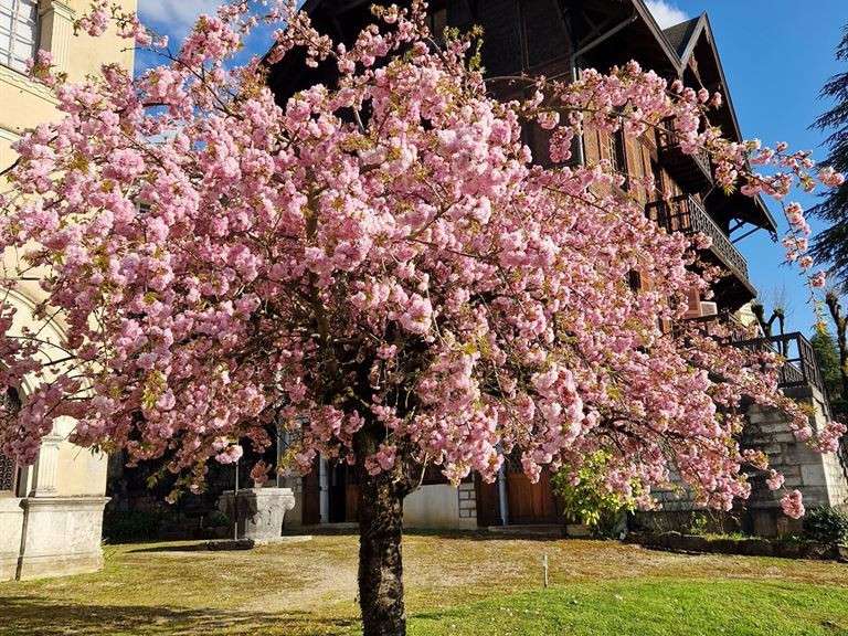 Maison Aix-les-Bains - 15 chambres - 620m²