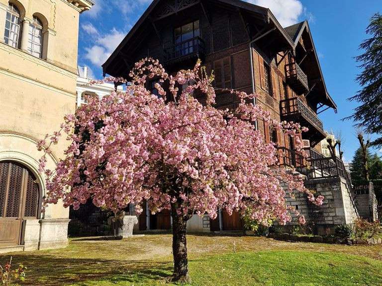 Maison Aix-les-Bains - 15 chambres - 620m²