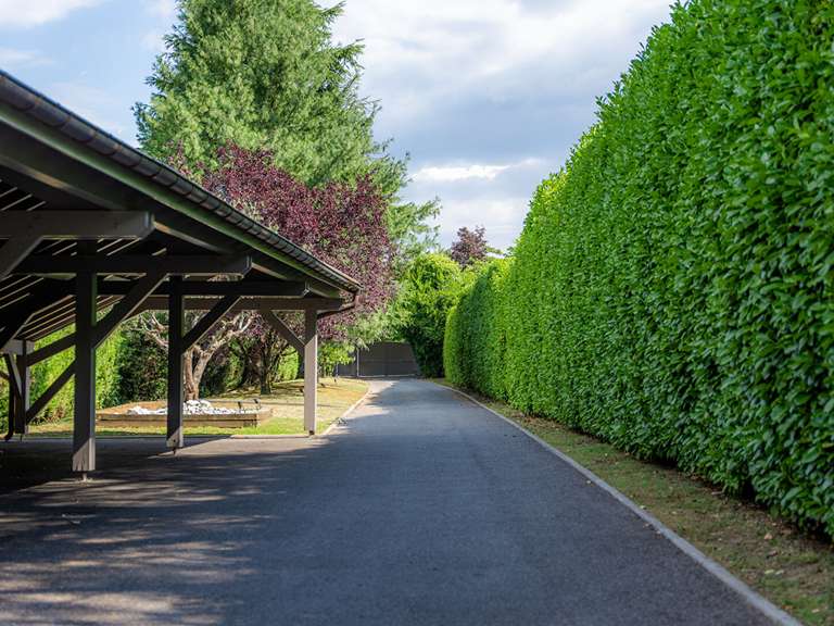 Maison Aix-les-Bains - 6 chambres - 366m²