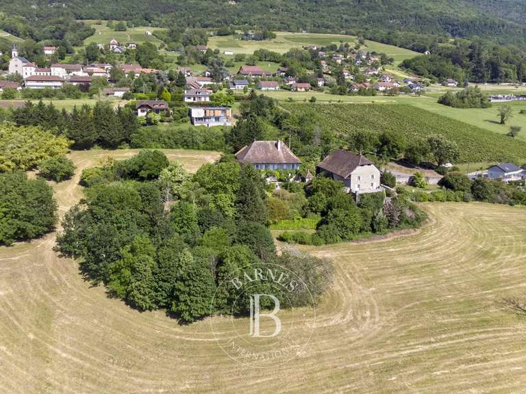 Propriété Aix-les-Bains - 6 chambres - 600m²