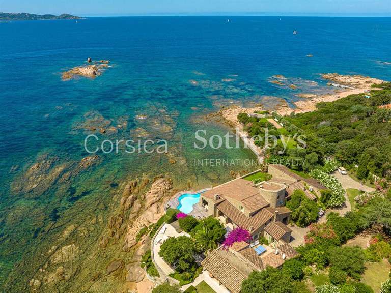 Maison Ajaccio - 7 chambres - 450m²