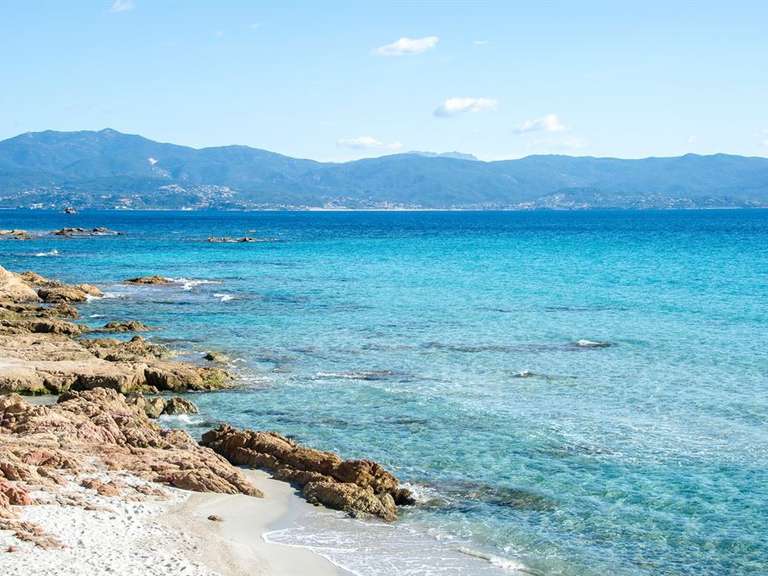 House Ajaccio - 4 bedrooms - 270m²