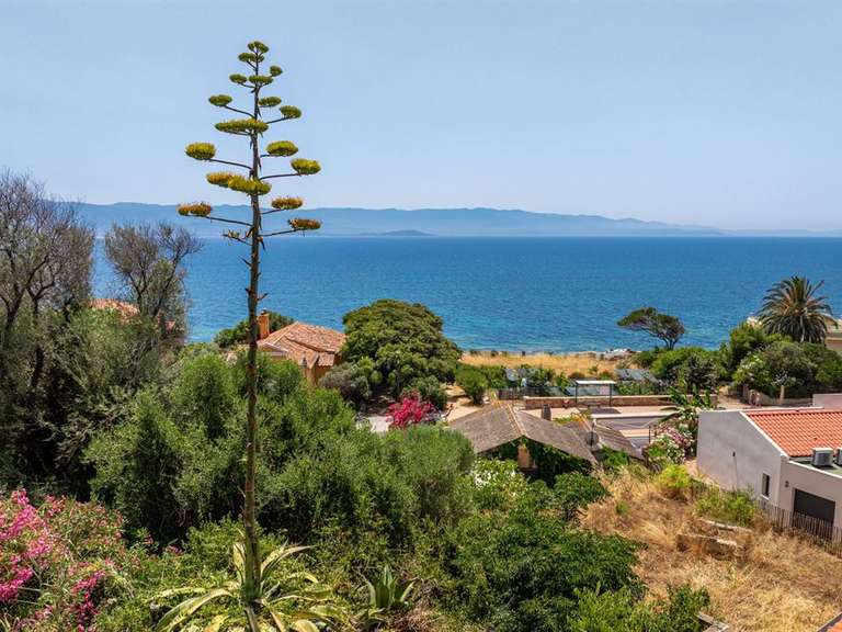 Terrain Ajaccio - 816m²
