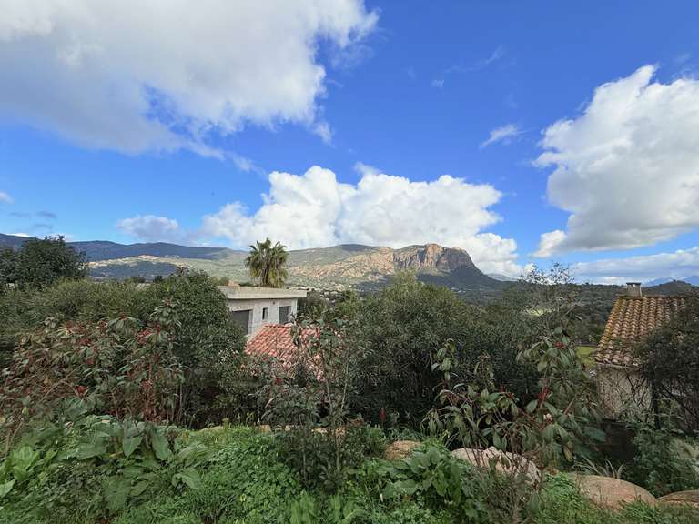 Maison Alata - 3 chambres - 116m²