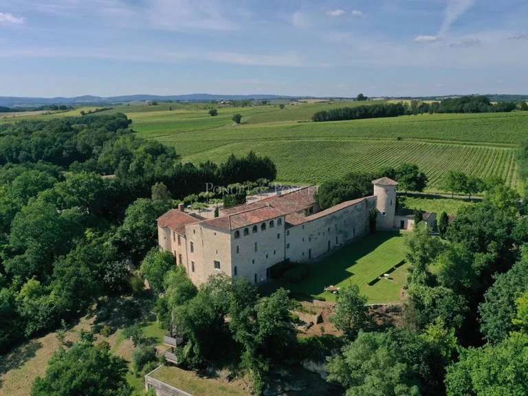 Château Albi - 19 chambres - 850m²