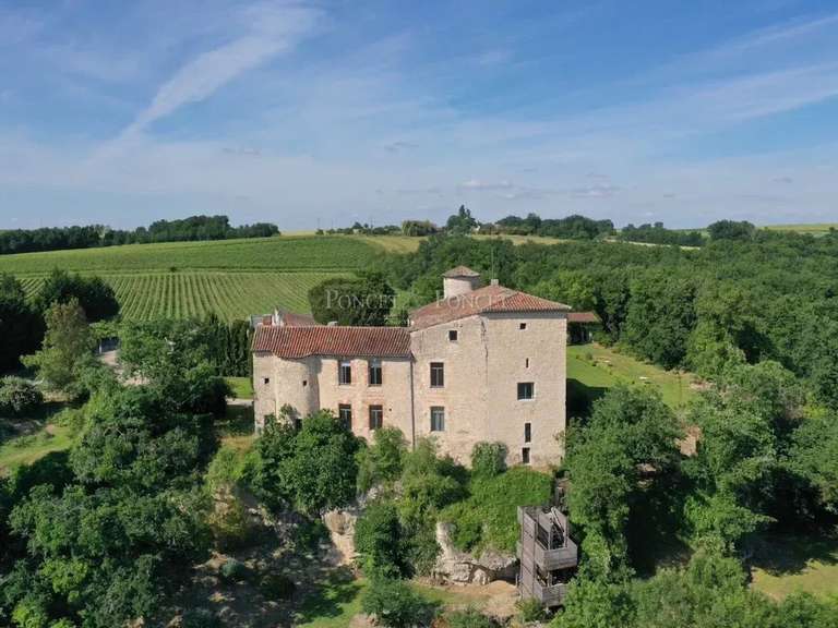 Château Albi - 19 chambres - 850m²