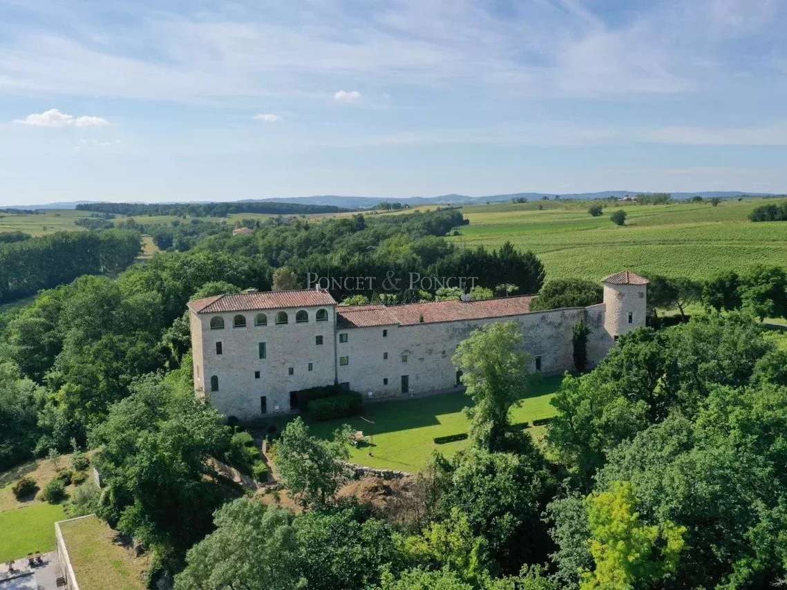 Château Albi