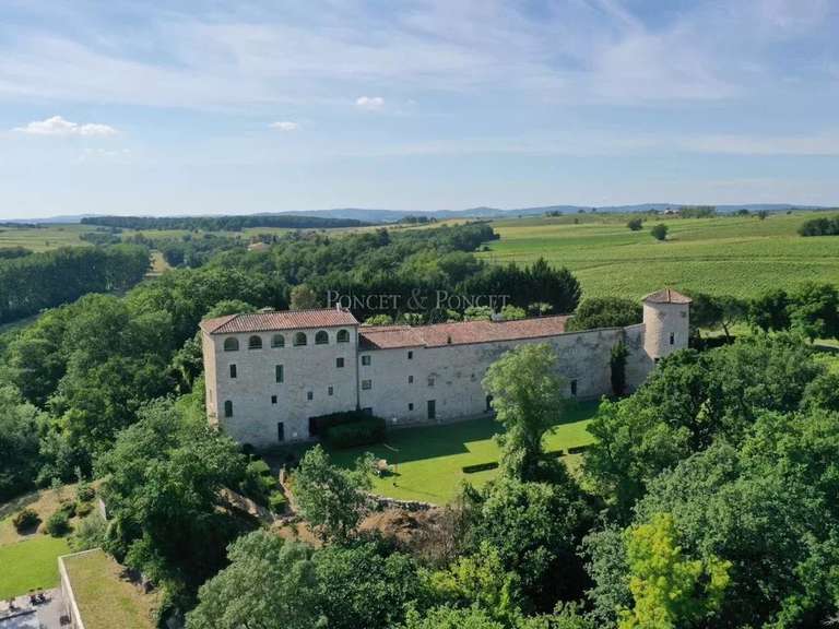 Château Albi - 19 chambres - 850m²