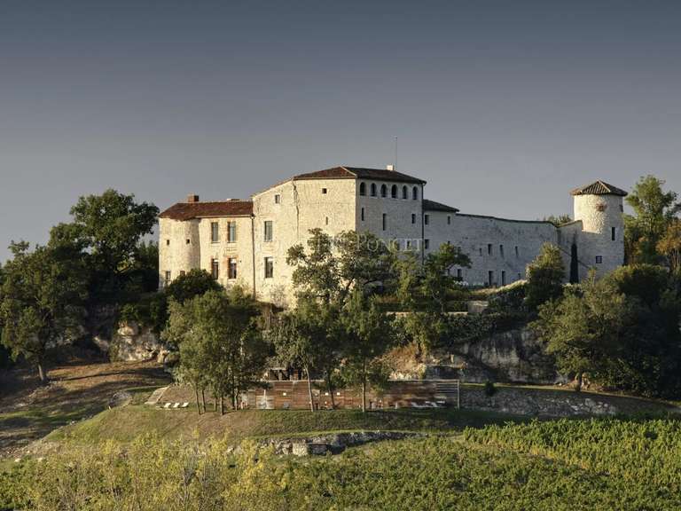 Château Albi - 19 chambres - 850m²