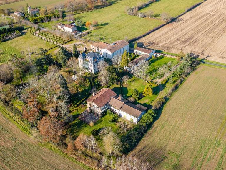 Château Albi - 36 chambres - 3512m²
