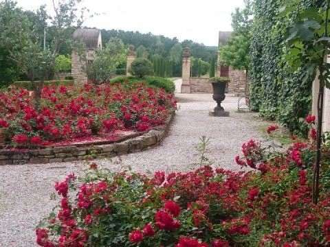 Château Albi - 36 chambres - 3512m²