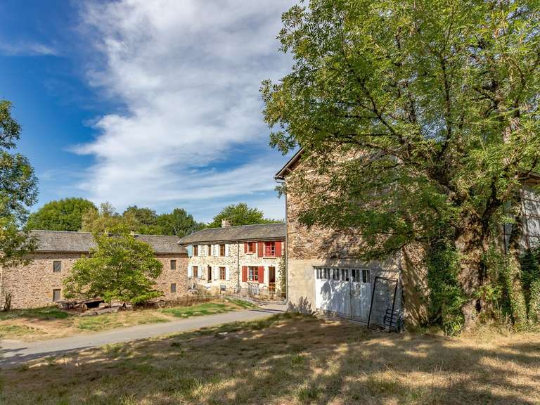 Maison Albi - 12 chambres - 496m²