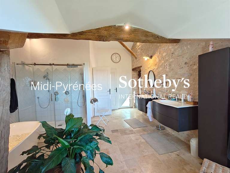 Maison Albi - 9 chambres - 585m²