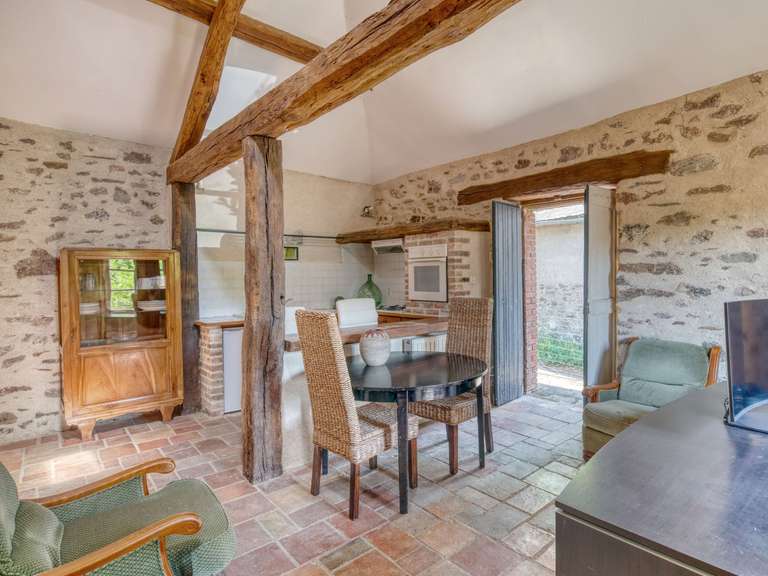 Maison Albi - 12 chambres - 496m²