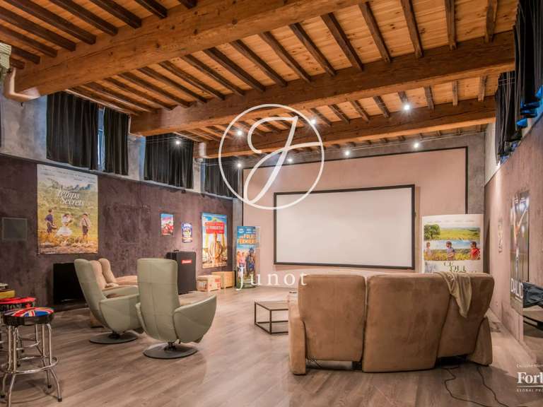 Maison Albi - 6 chambres - 800m²