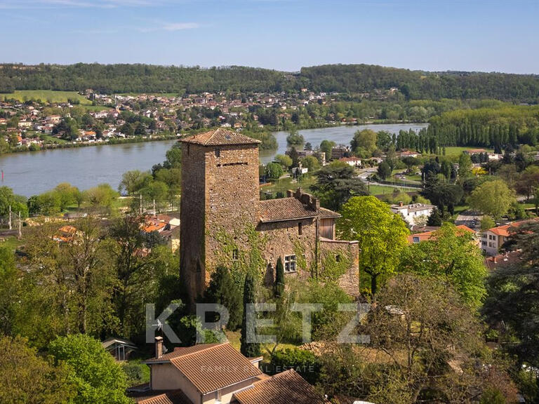 Maison Albigny-sur-Saône - 4 chambres - 535m²