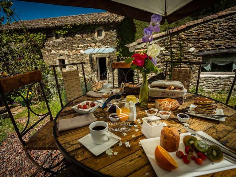 Villa Alès - 5 chambres - 350m²