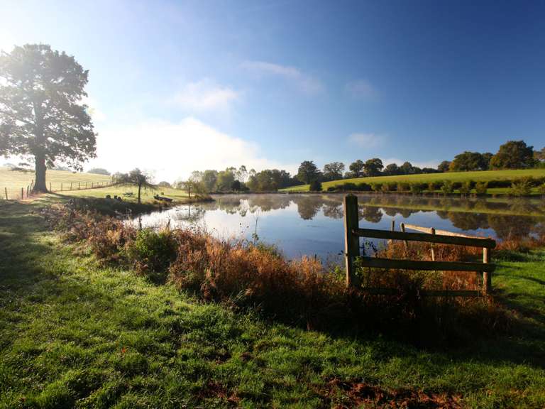 Propriété équestre Allier - 400000m²