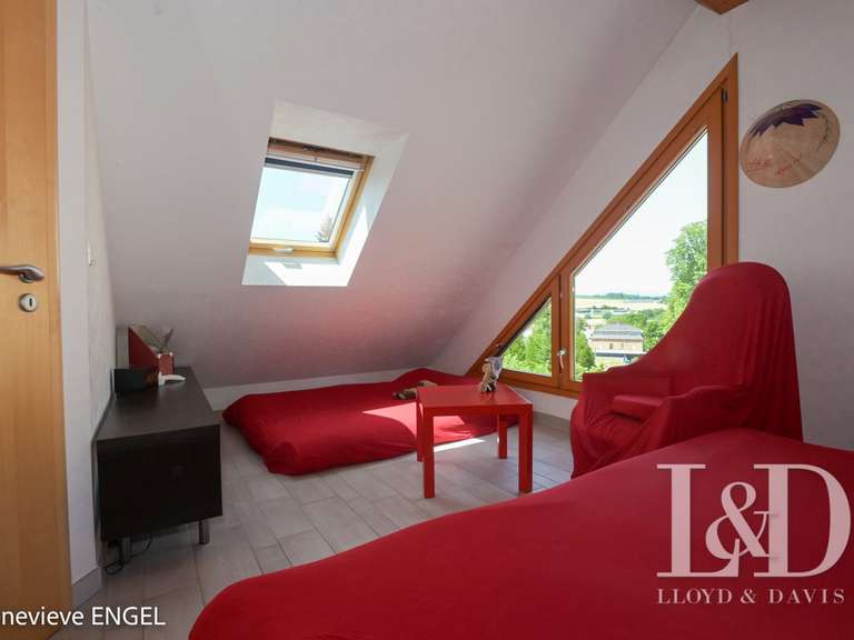Maison Altkirch - 5 chambres - 255m²