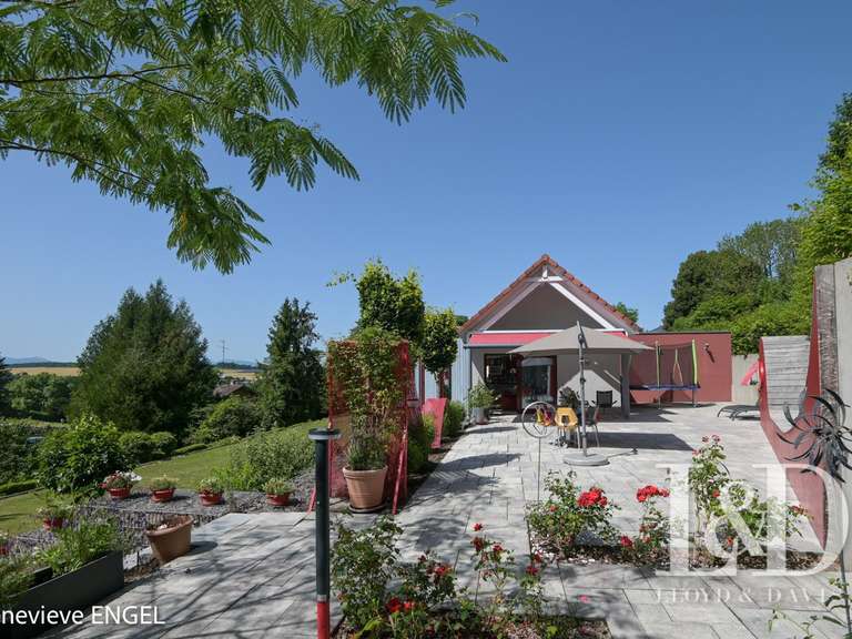 Maison Altkirch - 5 chambres - 255m²