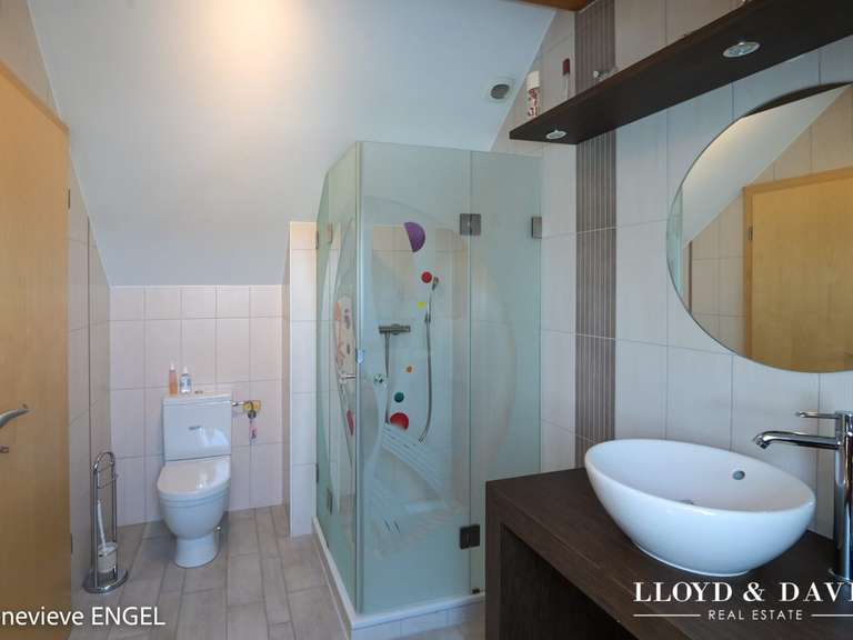 Maison Altkirch - 5 chambres - 255m²