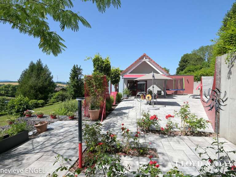 Maison Altkirch - 5 chambres - 255m²