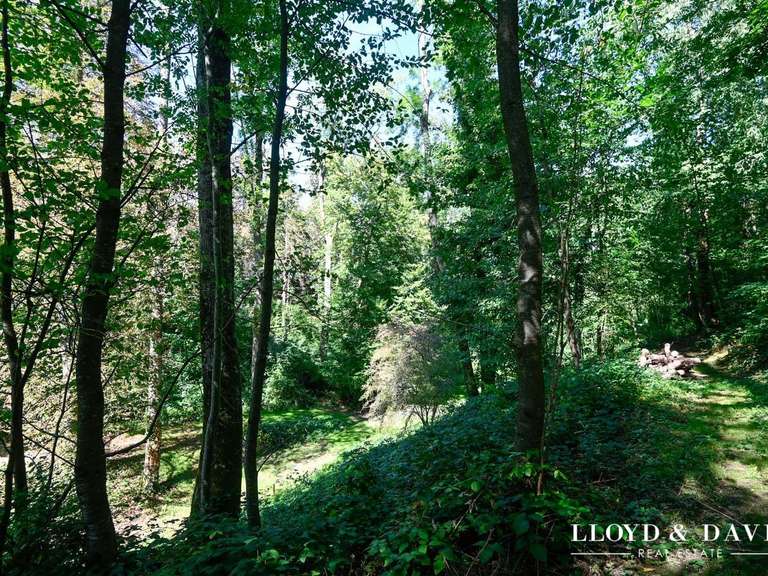 Maison Altkirch - 4 chambres - 170m²