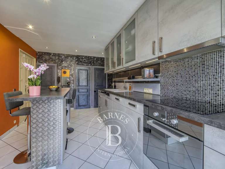 Maison Amancy - 4 chambres - 263m²