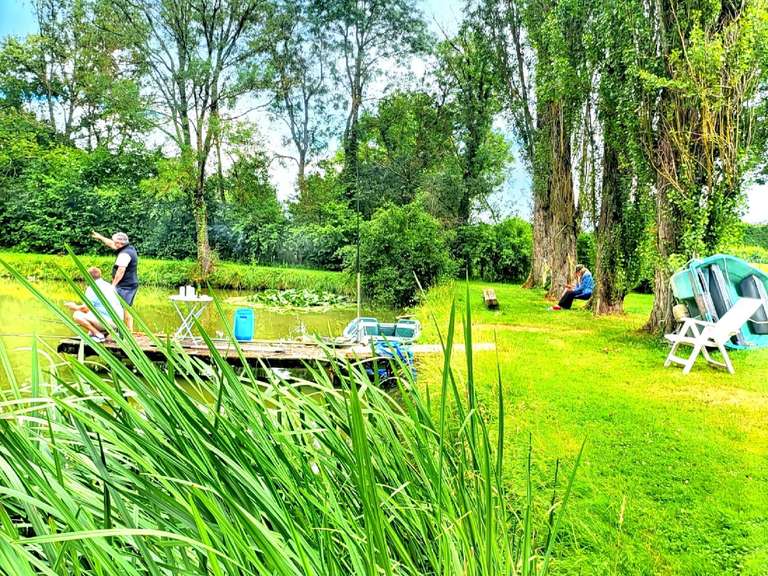 House Ambérieux-en-Dombes - 3 bedrooms - 162m²