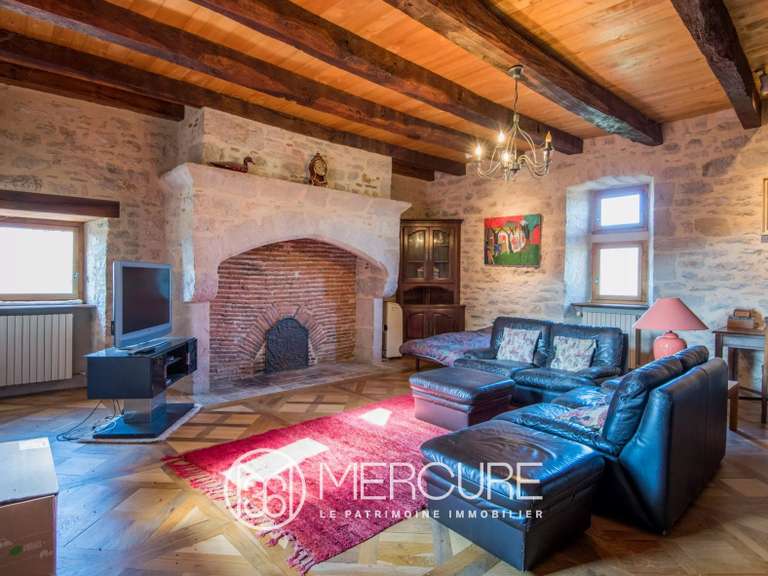 Château Ambeyrac - 5 chambres - 370m²