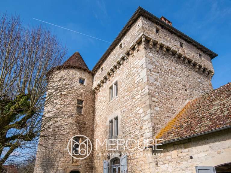 Château Ambeyrac - 5 chambres - 370m²