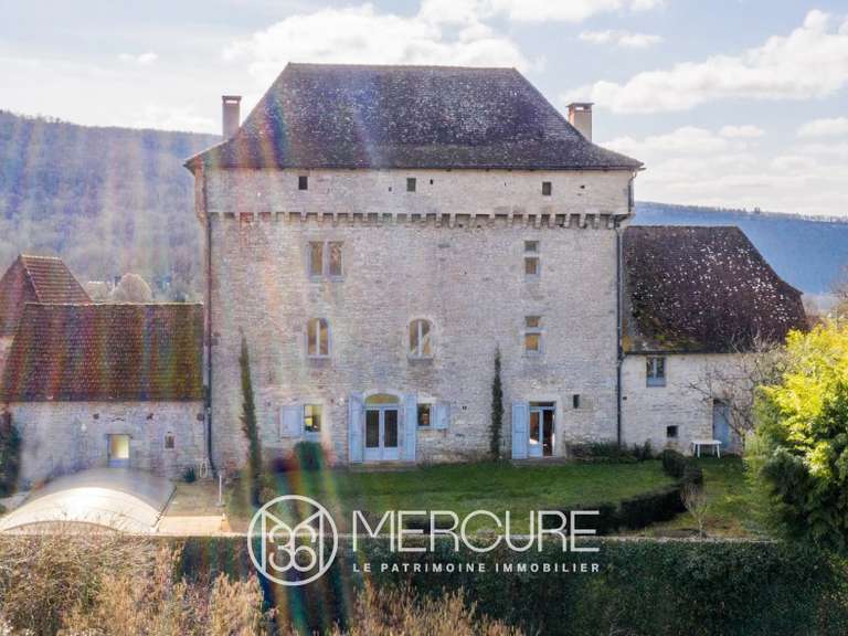 Château Ambeyrac - 5 chambres - 370m²